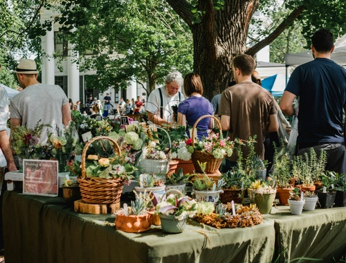 Vendors